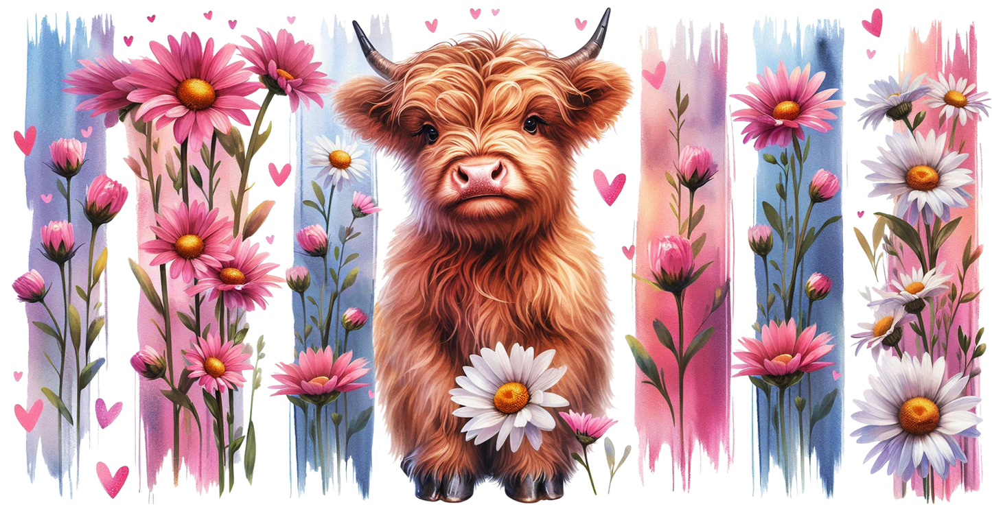 highland cow 16oz wrap
